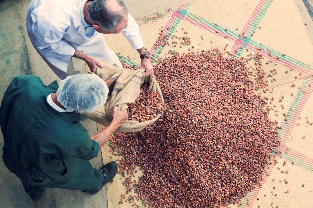 chocolat menakao, chocolat tree to bar, chocolat malgache, raconte moi un chocolat