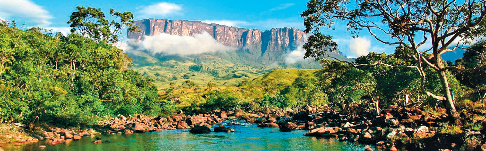 paysage venezuela rivière cacao chocolat du venezuela