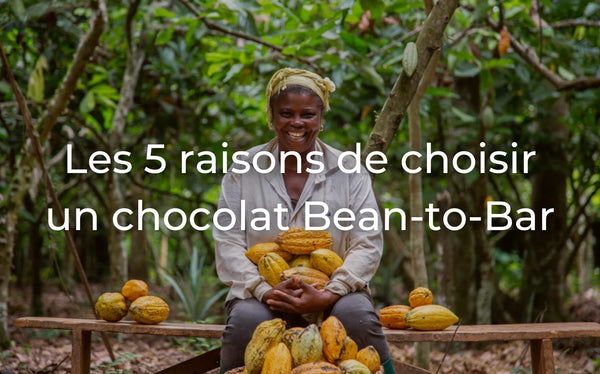 Les 5 raisons pour lesquelles vous devriez choisir un chocolat Bean-to-Bar