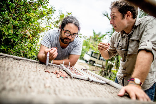 Voilà ce que vous ratez, si vous n'avez jamais goûté un chocolat Tree-to-Bar Marou