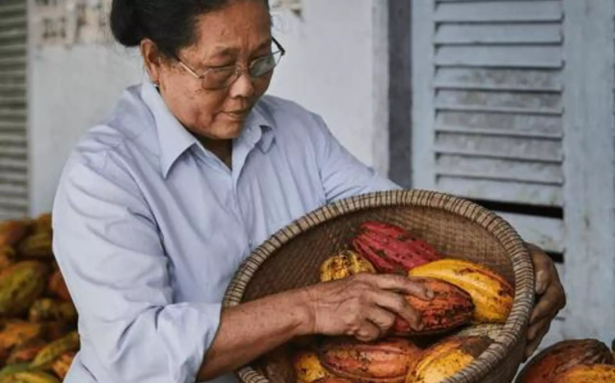 Marou, faiseurs de chocolat